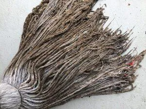 dirty mop