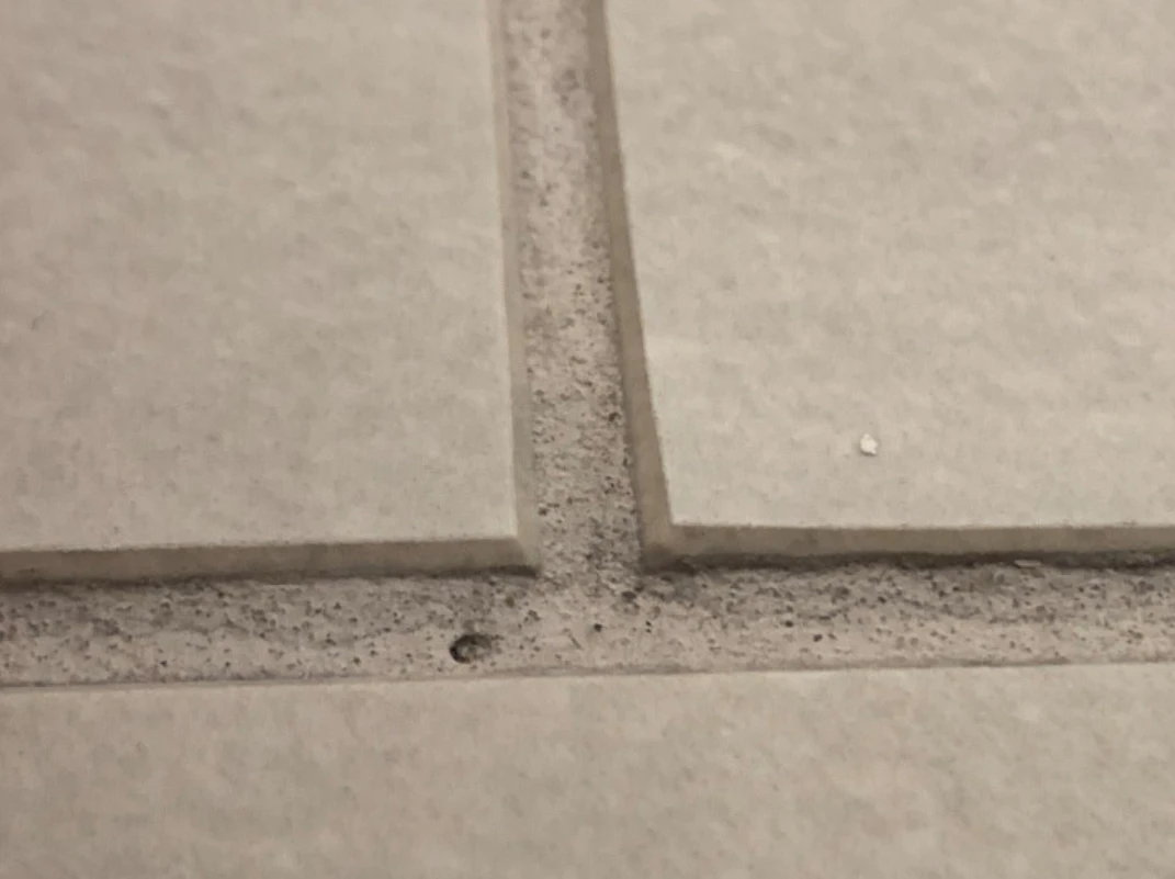 Grout lines don't make slippery floors safer